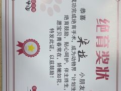 -芭比堂宠物医院·全科爱猫医院·仁德分院