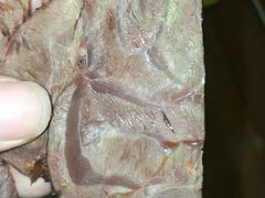 -清真铁志明腊牛羊肉