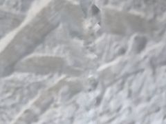 -阿弟特色海鲜餐厅·大排档(平潭店)