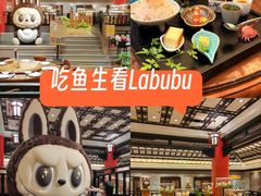 -龙悦湾酒家·八阵鱼生·渔人码头店