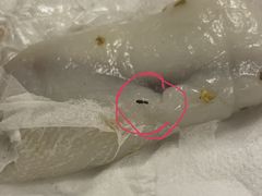 -阿毛方糕(七宝镇步行街店)