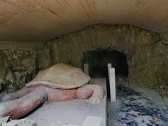 -上海佘山国家森林公园天马山园