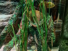 -沈阳海洋探索中心