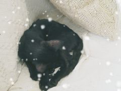 -知物癖(牛王庙店)