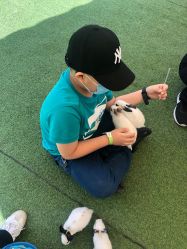 -萌宠亲子动物乐园(槐房万达店)