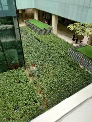 -深圳市宝安区妇幼保健院