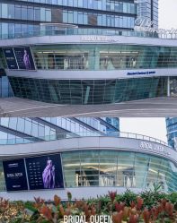 -Bridal Queen·婚纱女皇