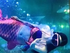 -嘉兴海底世界