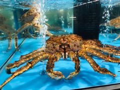 -麦德龙(郑东店)