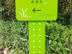 -西湖风景区-江洋畈生态公园