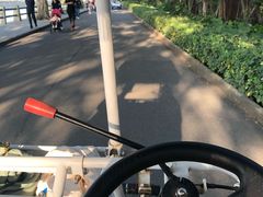 -大湾区中央湿地公园