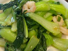 -渡海小渔村.老辈日照菜