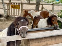 -水上乐园·欢乐世界