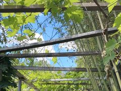 -小仙居·农家宴烤羊· 农庄