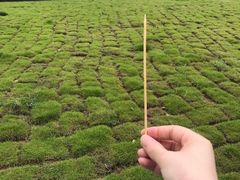 -南京信息职业技术学院