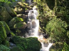 -藏龙百瀑风景区