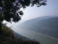 -铁山坪森林公园