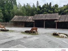 -金沙遗址博物馆