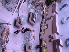 -陕西自然博物馆