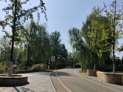 -西安浐灞国家湿地公园