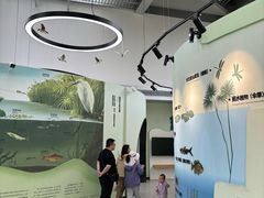 -白鹭湾湿地公园