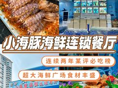-亚龙湾热带天堂森林公园