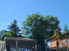 -北京鹫峰国家森林公园