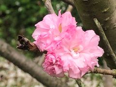 -火炉山森林公园