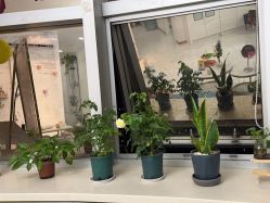 点击看大图 -瓷肌博士·祛痘科技美肤