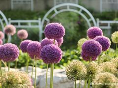 -国家植物园南园