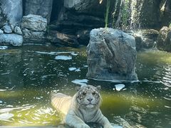 -北京野生动物园