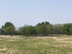 -汉长安城未央宫国家考古遗址公园