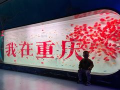 -重庆欢乐海底世界