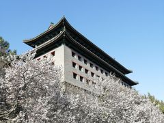 -北京明城墙遗址公园