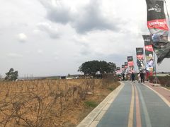 -空港花田景区