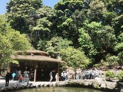 -碧峰峡风景区
