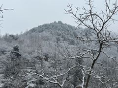 -秦岭终南山世界地质公园翠华山景区