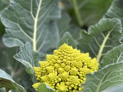 -中国天府农业博览园