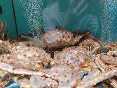 -阿伟海鲜楼·福建菜(延寿店)
