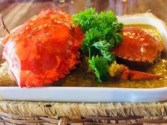 -茉莉.Red Crab