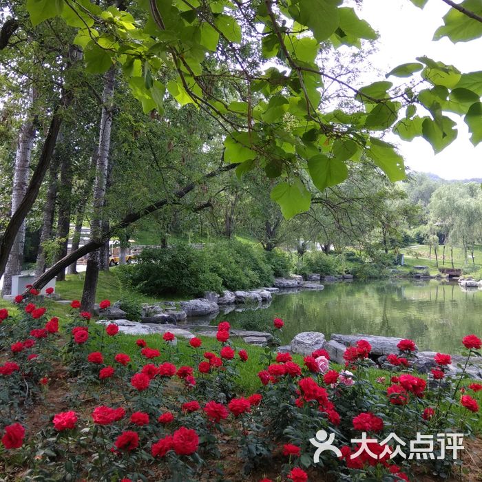 北京市人民政府宽沟招待所三号院图片-北京度假村-大众点评网