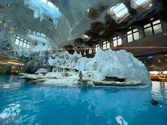 -帝企鹅自助餐厅•儿童岛•真企鹅(长隆企鹅酒店)