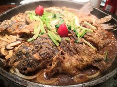 -老板恋上鱼(荣盛广场店)