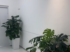 -极简口腔(总院)