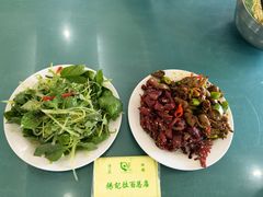 干煸牛肉-杨记拉面总店