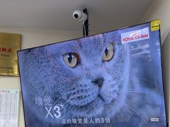 -全心全意连锁动物医院·微创中心·内科急重症·心脏专科(丰管路店)