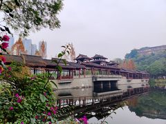 -重庆彩云湖湿地公园