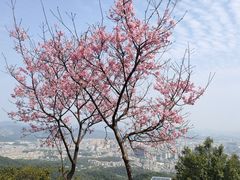 -广州市白云山风景名胜区