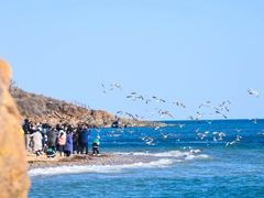 -星海广场