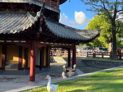 -龙华寺